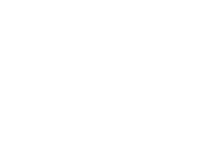 Center for Workforce Equity and Leadership logo - stylized letter W